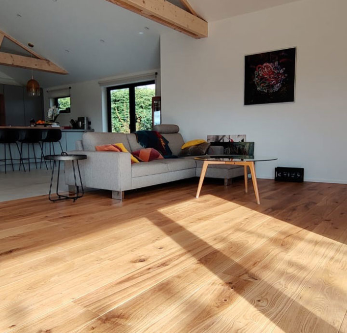 salon avec canapé et parquet huilé naturel