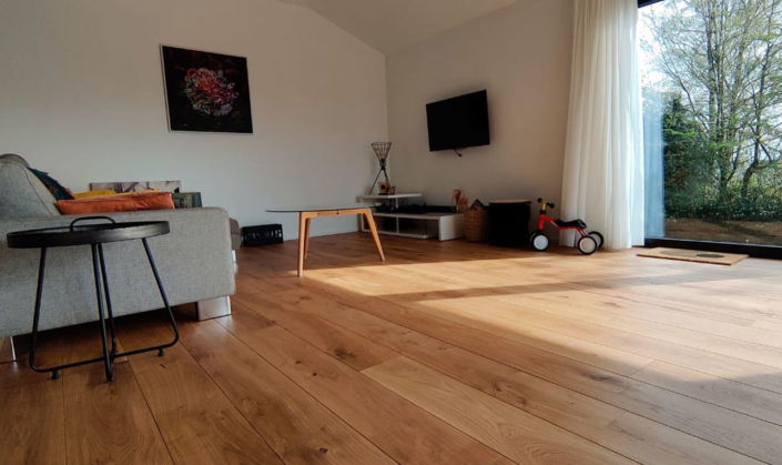 salon avec canapé et parquet huilé naturel