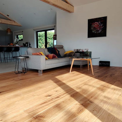 salon avec canapé et parquet huilé naturel